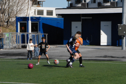 Varfjell - Skåla/Langfjorden 2026